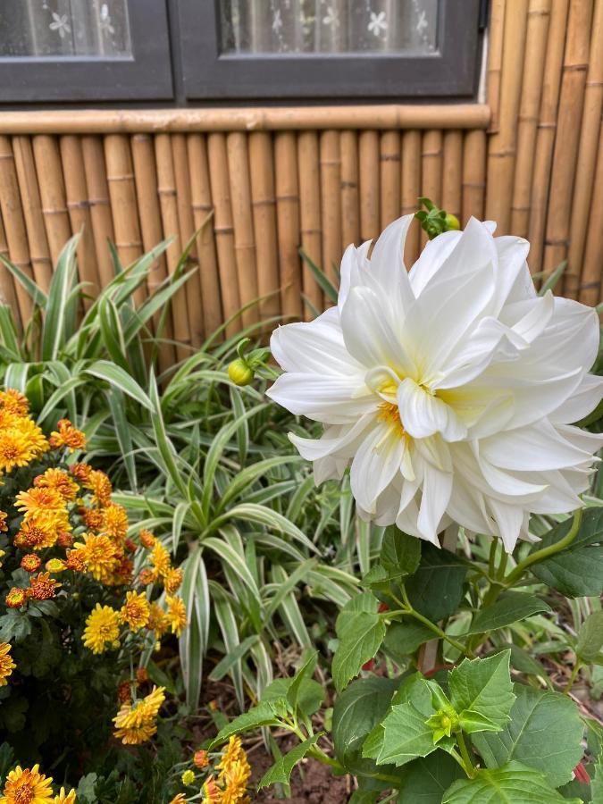 Trang An Moon Garden Homestay Ninh Binh Zewnętrze zdjęcie