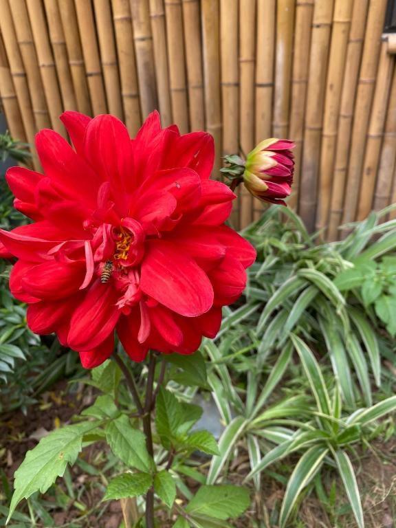 Trang An Moon Garden Homestay Ninh Binh Zewnętrze zdjęcie