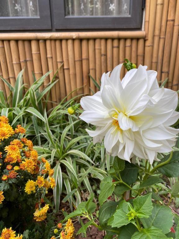 Trang An Moon Garden Homestay Ninh Binh Zewnętrze zdjęcie