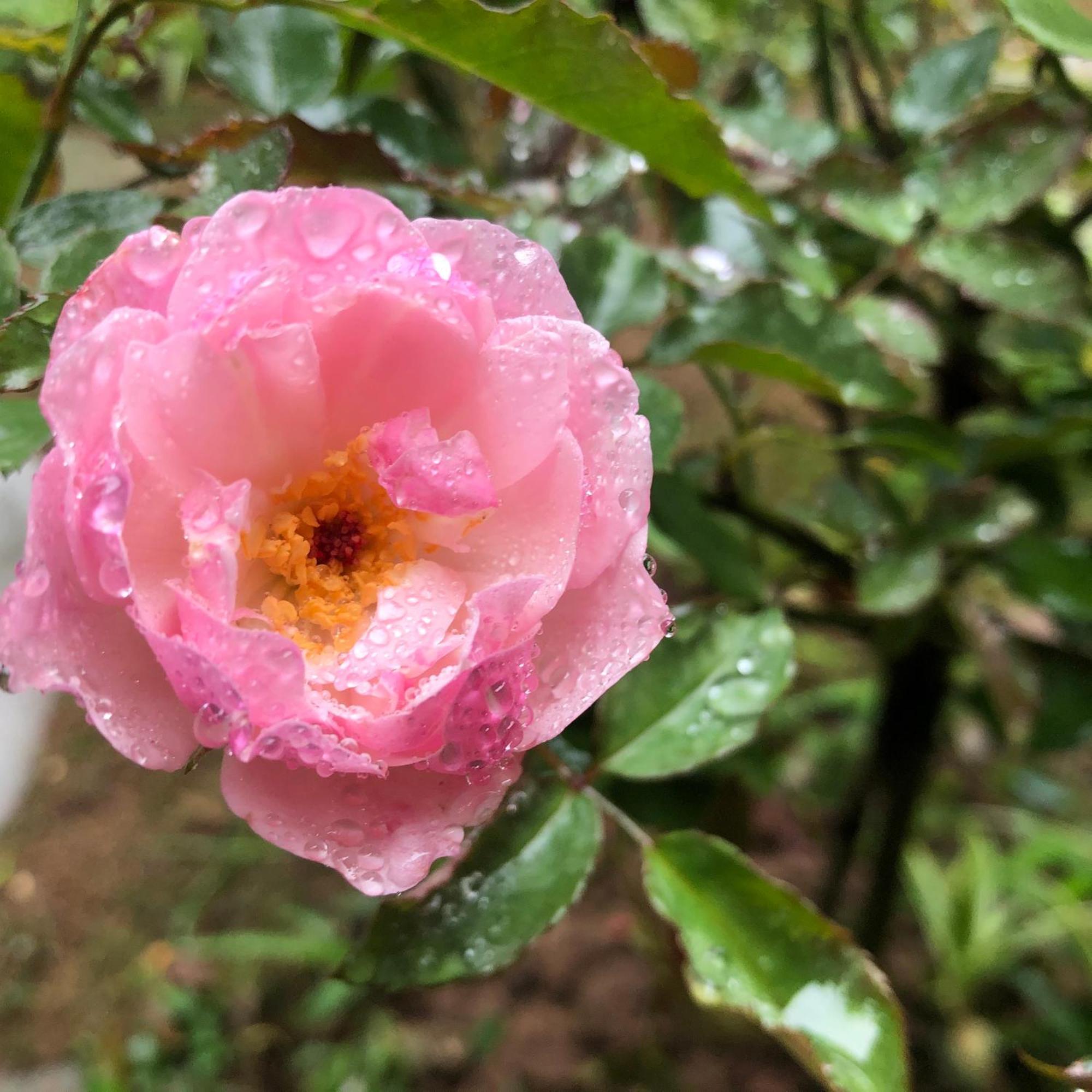 Trang An Moon Garden Homestay Ninh Binh Zewnętrze zdjęcie