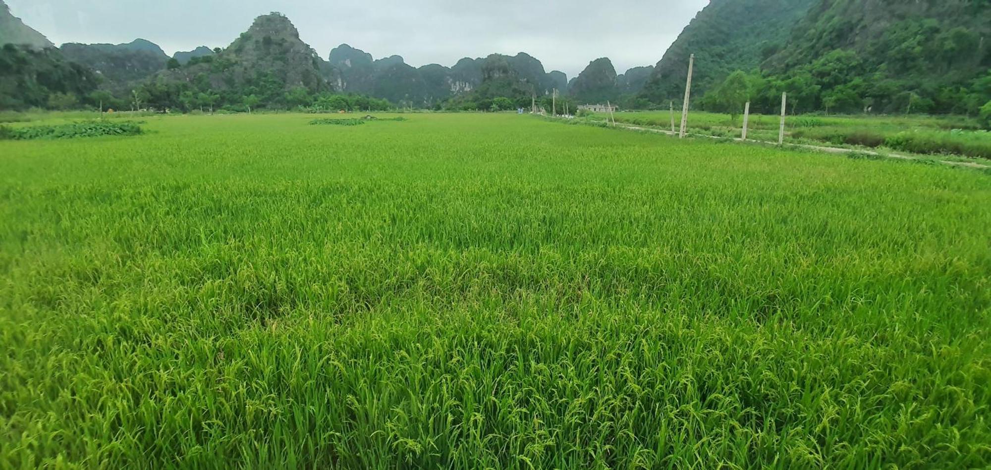 Trang An Moon Garden Homestay Ninh Binh Zewnętrze zdjęcie
